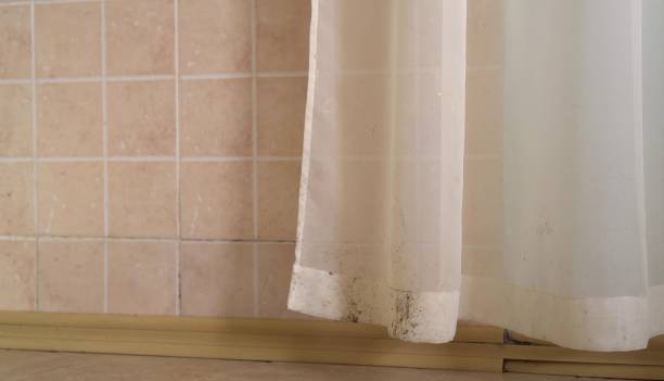 Best Air Quality Testing for Mold Spores  in Malaga, NJ