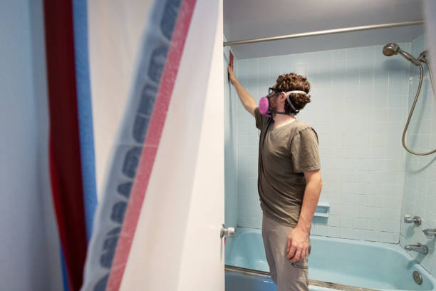 Best Attic Mold Removal  in Malaga, NJ
