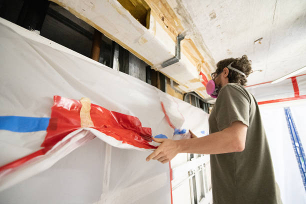 Best Mold Damage Restoration  in Malaga, NJ