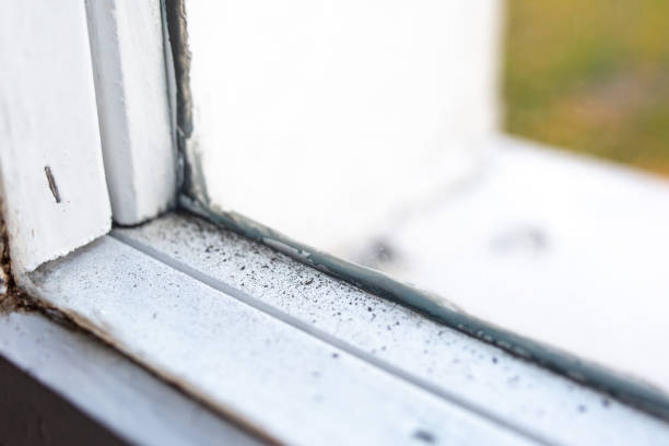 Best Asbestos and Lead Testing During Mold Inspection  in Malaga, NJ