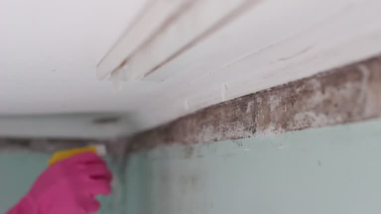 Asbestos and Lead Testing During Mold Inspection in Malaga, NJ
